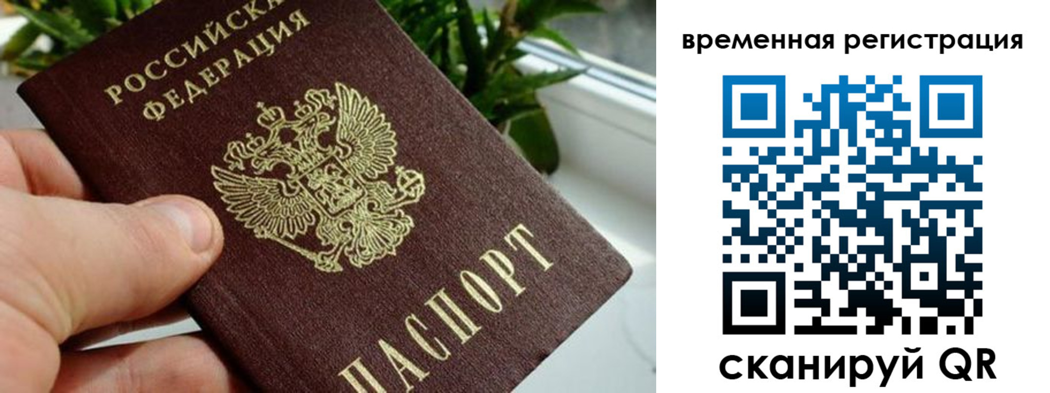 прописка поиск в ЕАО